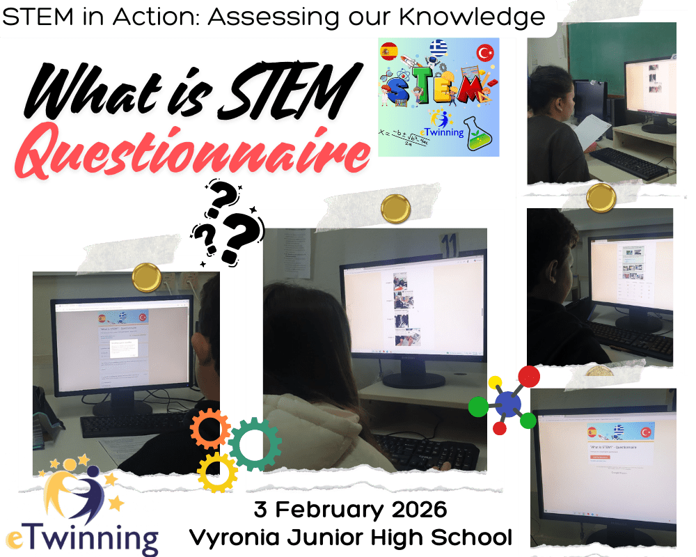 What is STEM Questionaire